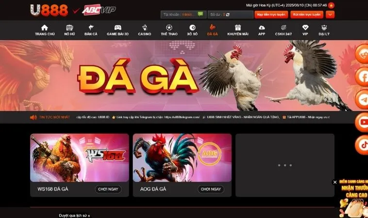 Sảnh đá gà U888 thiết kế giao diện đẹp, chuyên nghiệp