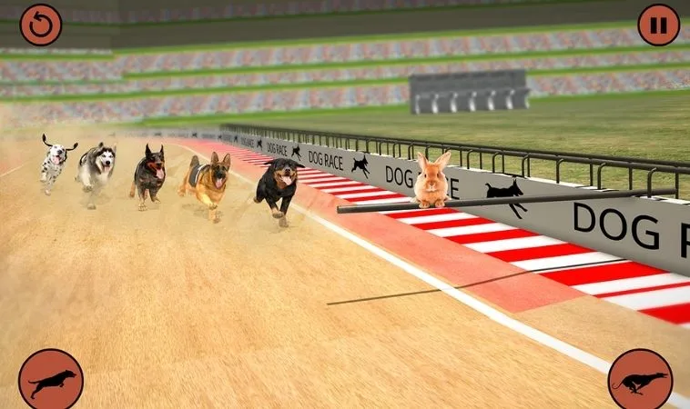 Giao diện chơi game nhanh Đua Chó U888