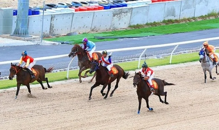 Cần tìm hiểu về bộ môn Đua Ngựa U888 trước khi cá cược